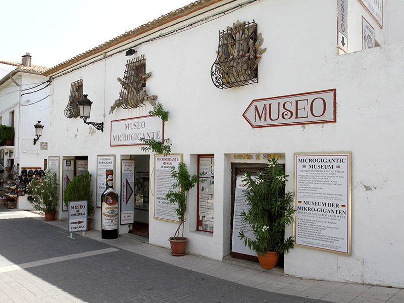 Museo microgigante